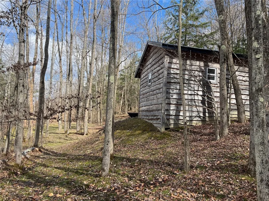 9264 County Road 15b Road 0, Birdsall, New York 14, Birdsall, New York 14822, 1 Bedroom Bedrooms, ,1 BathroomBathrooms,Land,For Sale,9264 County Road 15b Road 0, Birdsall, New York 14,R1595164