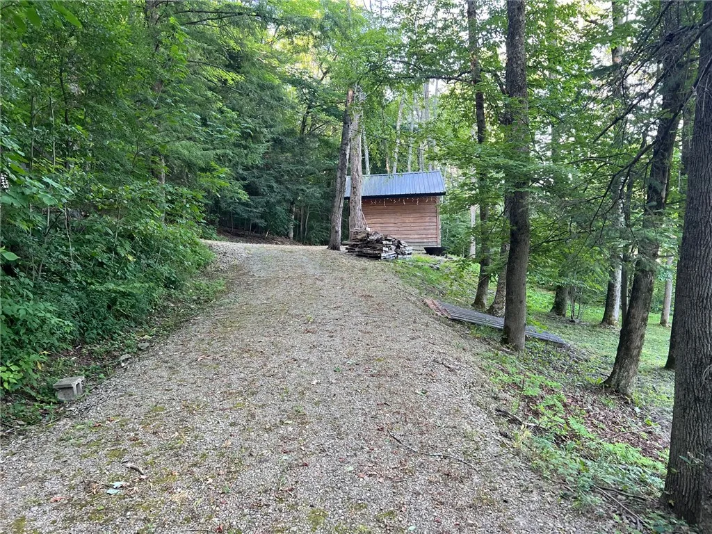 9264 County Road 15b Road 0, Birdsall, New York 14, Birdsall, New York 14822, 1 Bedroom Bedrooms, ,1 BathroomBathrooms,Land,For Sale,9264 County Road 15b Road 0, Birdsall, New York 14,R1595164