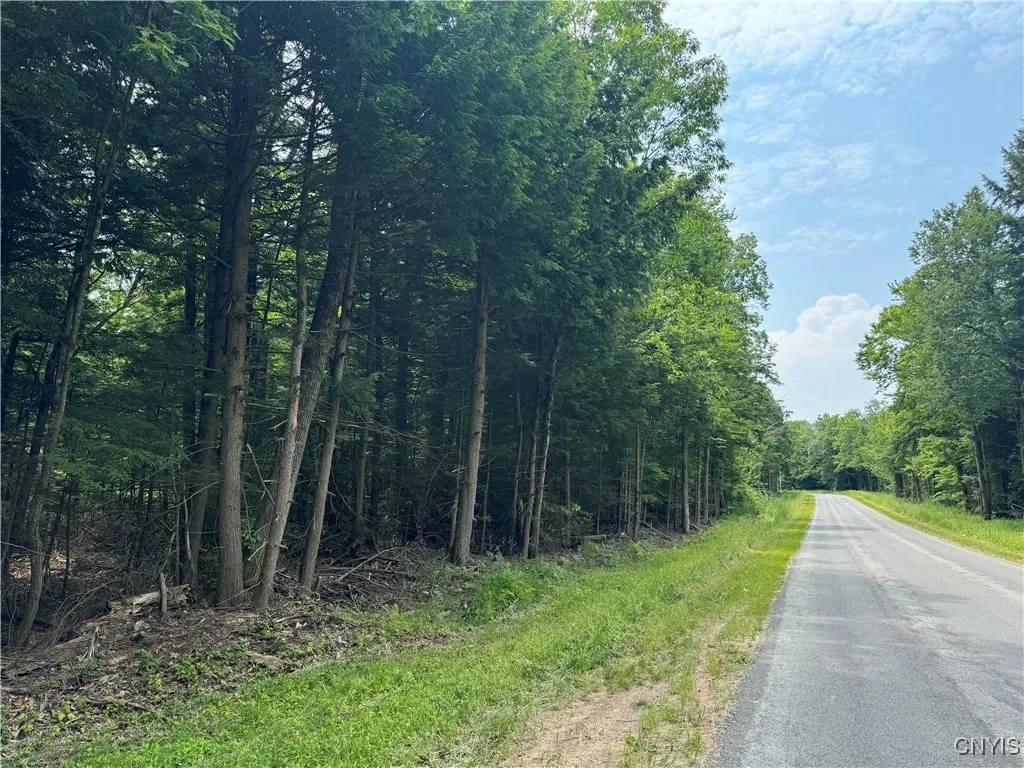 L1 California Road, Vienna, New York 13316, Vienna, New York 13316, ,Land,For Sale,L1 California Road, Vienna, New York 13316,0,S1595422