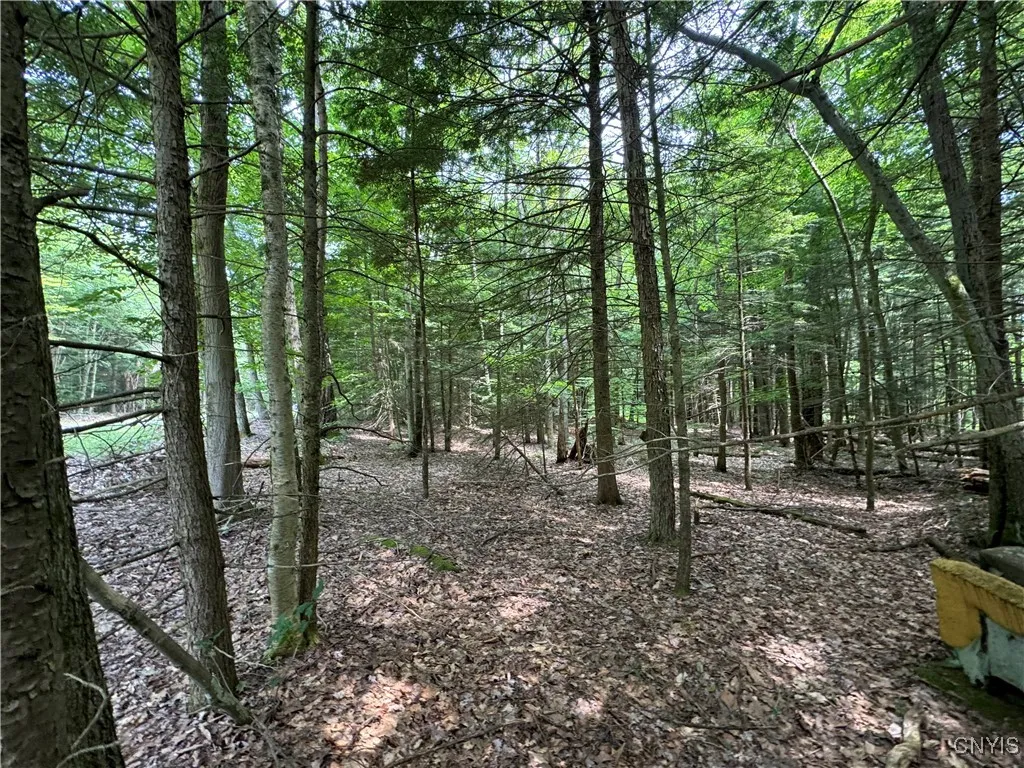 L1 California Road, Vienna, New York 13316, Vienna, New York 13316, ,Land,For Sale,L1 California Road, Vienna, New York 13316,0,S1595422