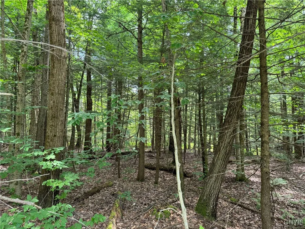 L1 California Road, Vienna, New York 13316, Vienna, New York 13316, ,Land,For Sale,L1 California Road, Vienna, New York 13316,0,S1595422