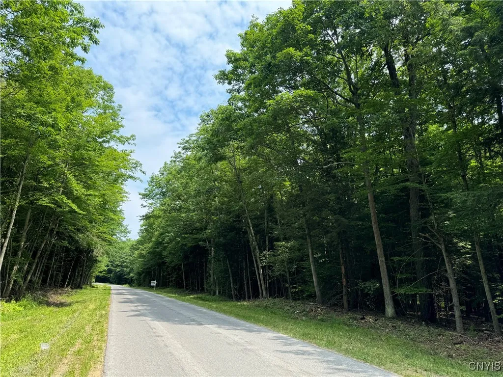 L1 California Road, Vienna, New York 13316, Vienna, New York 13316, ,Land,For Sale,L1 California Road, Vienna, New York 13316,0,S1595422