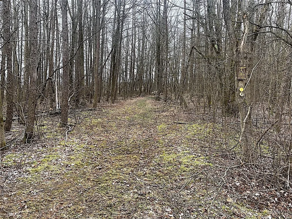 7523 Miller Road, West Almond, New York 14804, West Almond, New York 14804, ,Land,For Sale,7523 Miller Road, West Almond, New York 14804,0,S1595551 7523 Miller Road, West Almond, New York 14804, West Almond, New York 14804, ,Land,For Sale,7523 Miller Road, West Almond, New York 14804,0,S1595551