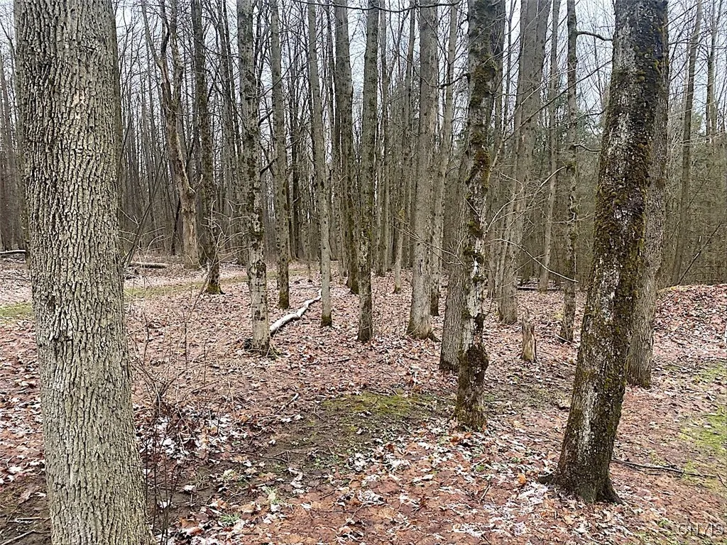 7523 Miller Road, West Almond, New York 14804, West Almond, New York 14804, ,Land,For Sale,7523 Miller Road, West Almond, New York 14804,0,S1595551 7523 Miller Road, West Almond, New York 14804, West Almond, New York 14804, ,Land,For Sale,7523 Miller Road, West Almond, New York 14804,0,S1595551