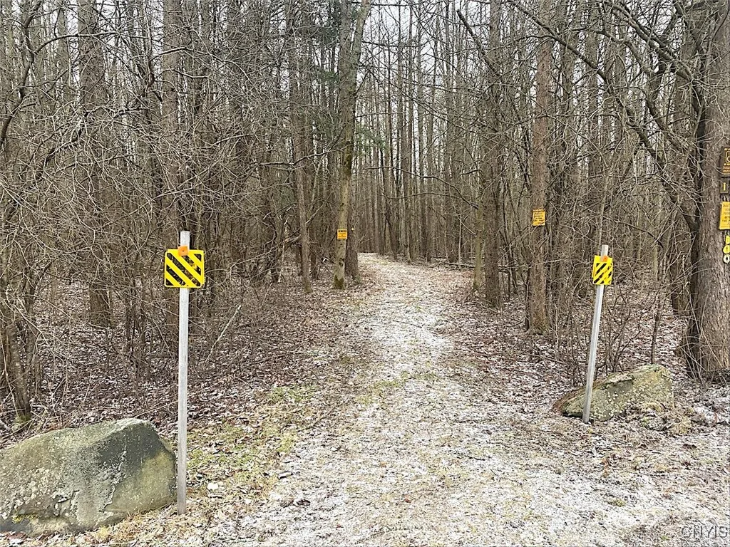 7523 Miller Road, West Almond, New York 14804, West Almond, New York 14804, ,Land,For Sale,7523 Miller Road, West Almond, New York 14804,0,S1595551 7523 Miller Road, West Almond, New York 14804, West Almond, New York 14804, ,Land,For Sale,7523 Miller Road, West Almond, New York 14804,0,S1595551