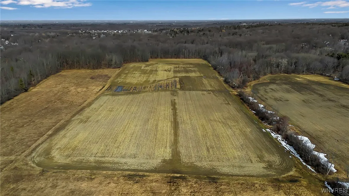 Ellicott Road, Orchard Park, New York 14127, Orchard Park, New York 14127, ,Land,For Sale,Ellicott Road, Orchard Park, New York 14127,0,B1595414