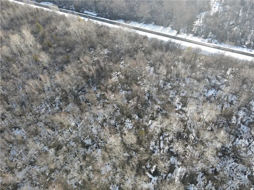 Ellisburg, New York 13636, ,Land,For Sale,0,S1593886 Ellisburg, New York 13636, ,Land,For Sale,0,S1593886