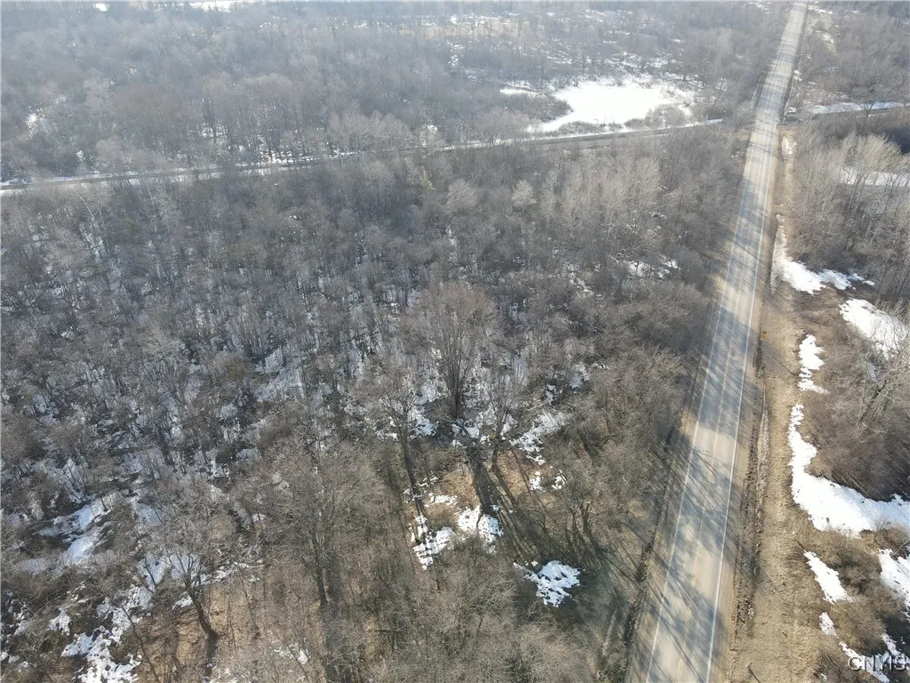 Ellisburg, New York 13636, ,Land,For Sale,0,S1593886 Ellisburg, New York 13636, ,Land,For Sale,0,S1593886