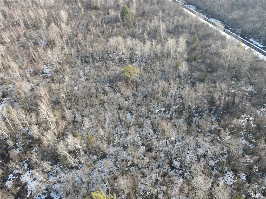 Ellisburg, New York 13636, ,Land,For Sale,0,S1593886 Ellisburg, New York 13636, ,Land,For Sale,0,S1593886