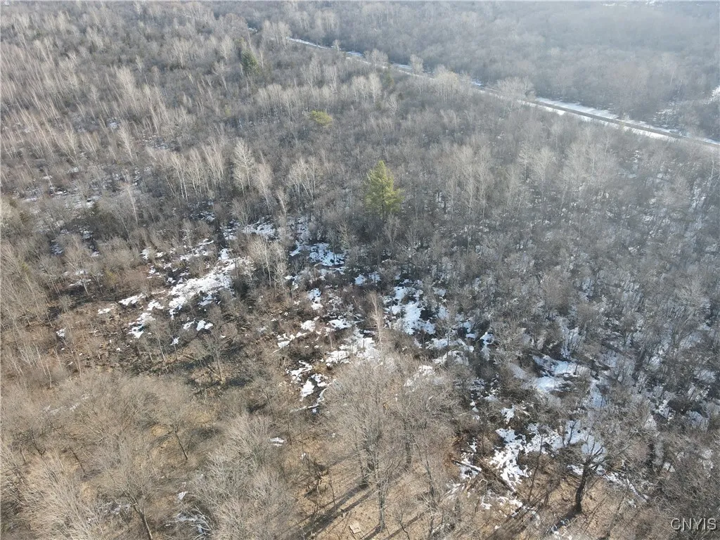 Ellisburg, New York 13636, ,Land,For Sale,0,S1593886 Ellisburg, New York 13636, ,Land,For Sale,0,S1593886