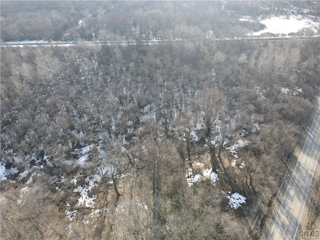 Ellisburg, New York 13636, ,Land,For Sale,0,S1593886 Ellisburg, New York 13636, ,Land,For Sale,0,S1593886