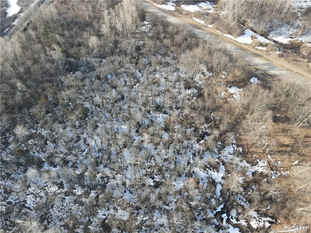 Ellisburg, New York 13636, ,Land,For Sale,0,S1593886 Ellisburg, New York 13636, ,Land,For Sale,0,S1593886