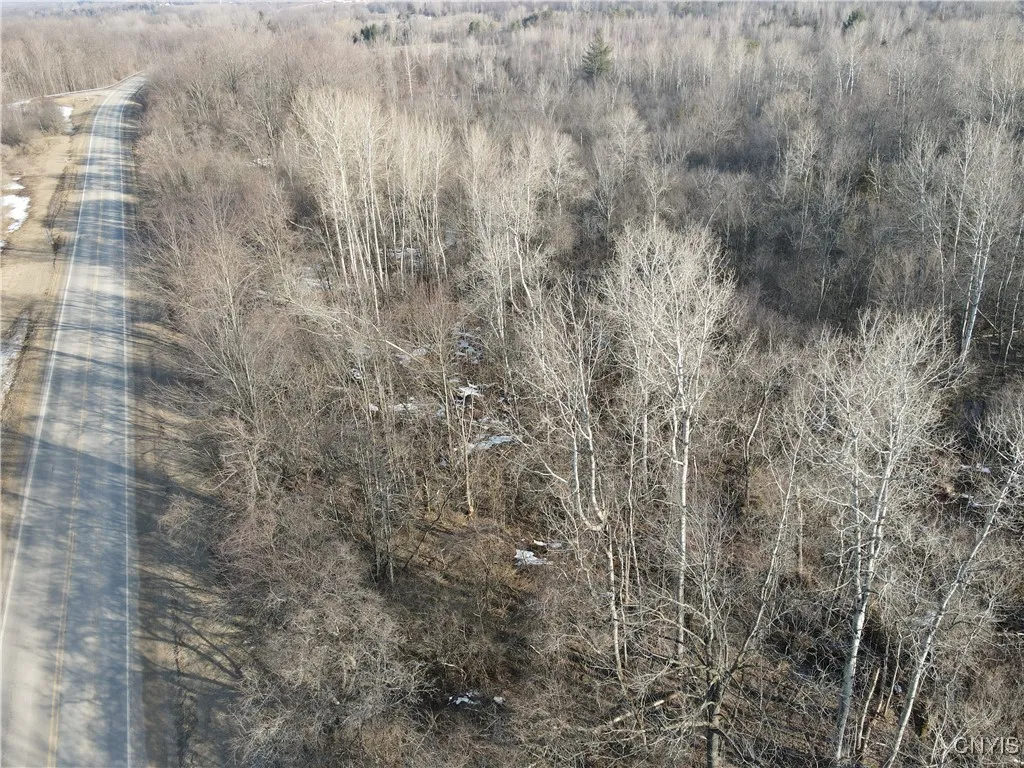 Ellisburg, New York 13636, ,Land,For Sale,0,S1593886 Ellisburg, New York 13636, ,Land,For Sale,0,S1593886