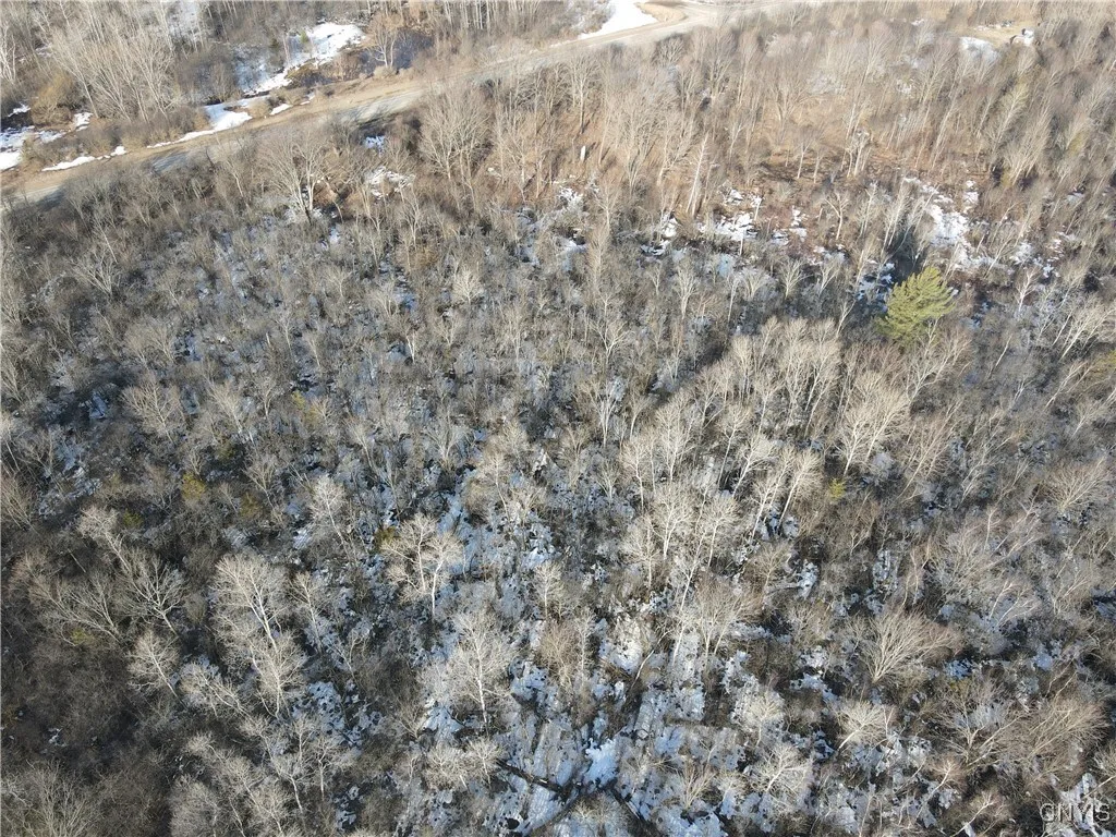 Ellisburg, New York 13636, ,Land,For Sale,0,S1593886 Ellisburg, New York 13636, ,Land,For Sale,0,S1593886