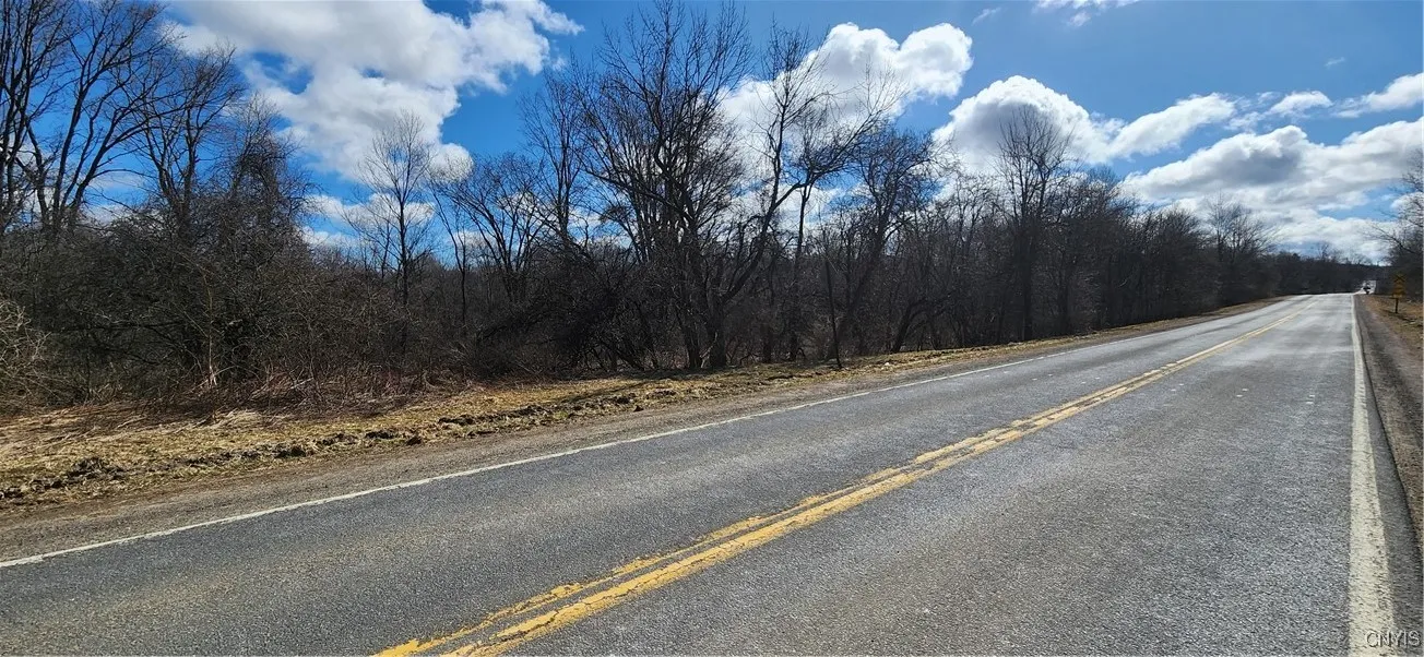Ellisburg, New York 13636, ,Land,For Sale,0,S1593886