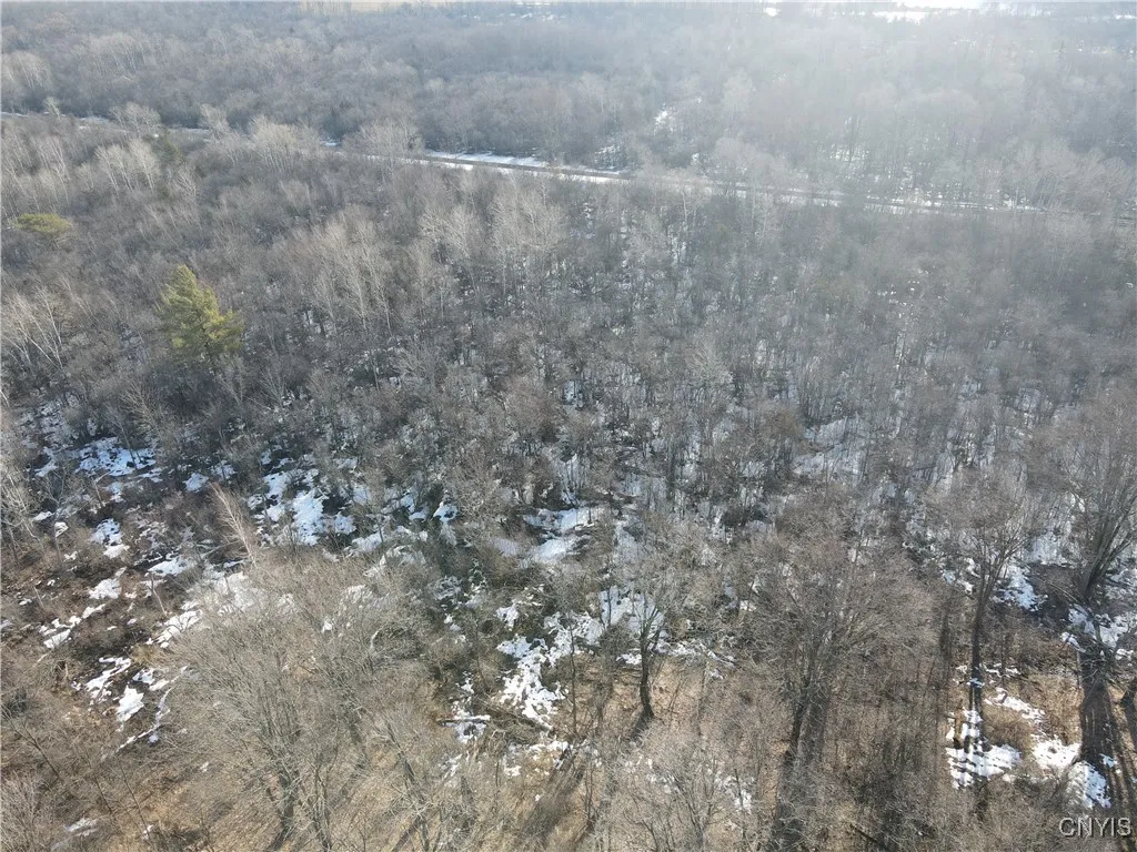 Ellisburg, New York 13636, ,Land,For Sale,0,S1593886 Ellisburg, New York 13636, ,Land,For Sale,0,S1593886