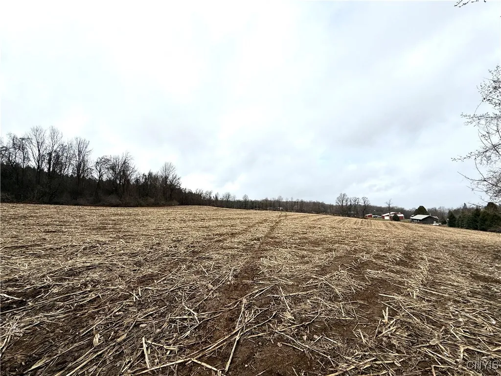 Sayer-huth Road, Augusta, New York 13425, Augusta, New York 13425, ,Land,Closed,Sayer-huth Road, Augusta, New York 13425,0,S1594961