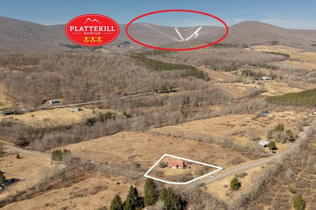 359 Squire Hill Road, Roxbury, New York 12474, Roxbury, New York 12474, 2 Bedrooms Bedrooms, 6 Rooms Rooms,2 BathroomsBathrooms,Residential,For Sale,359 Squire Hill Road, Roxbury, New York 12474,0,R1595052