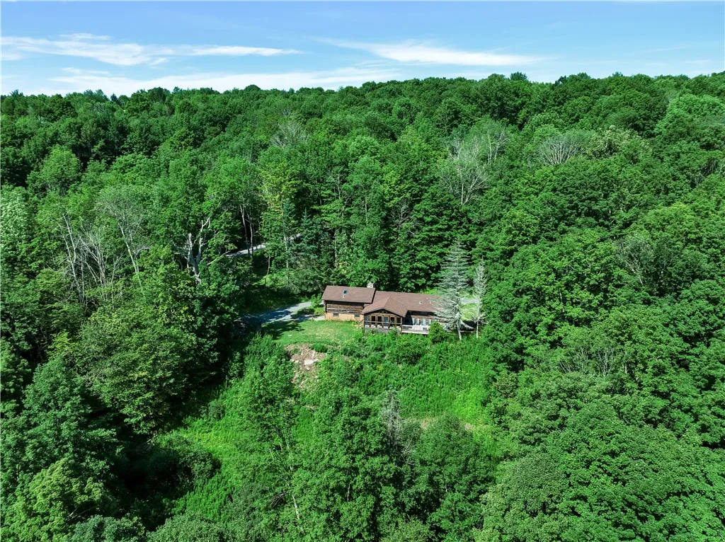 38 Woodchuck Road, Roxbury, New York 12474, Roxbury, New York 12474, 3 Bedrooms Bedrooms, 5 Rooms Rooms,2 BathroomsBathrooms,Residential,For Sale,38 Woodchuck Road, Roxbury, New York 12474,R1595778