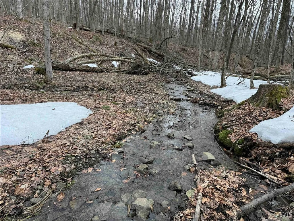Swanson Road, Charlotte, New York 14723, Charlotte, New York 14723, ,Land,Closed,Swanson Road, Charlotte, New York 14723,0,S1595857