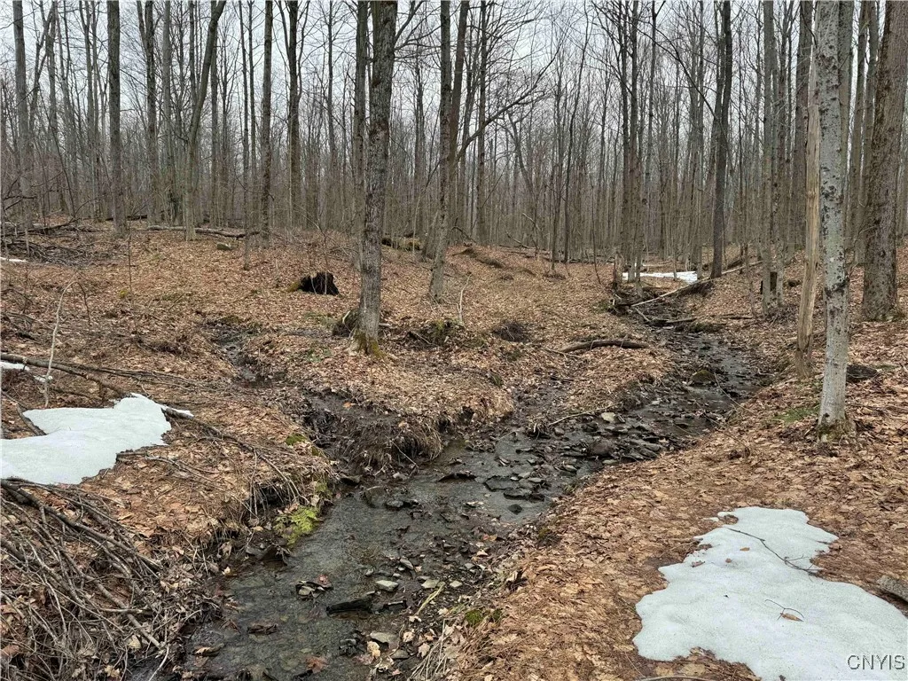 Swanson Road, Charlotte, New York 14723, Charlotte, New York 14723, ,Land,Closed,Swanson Road, Charlotte, New York 14723,0,S1595857