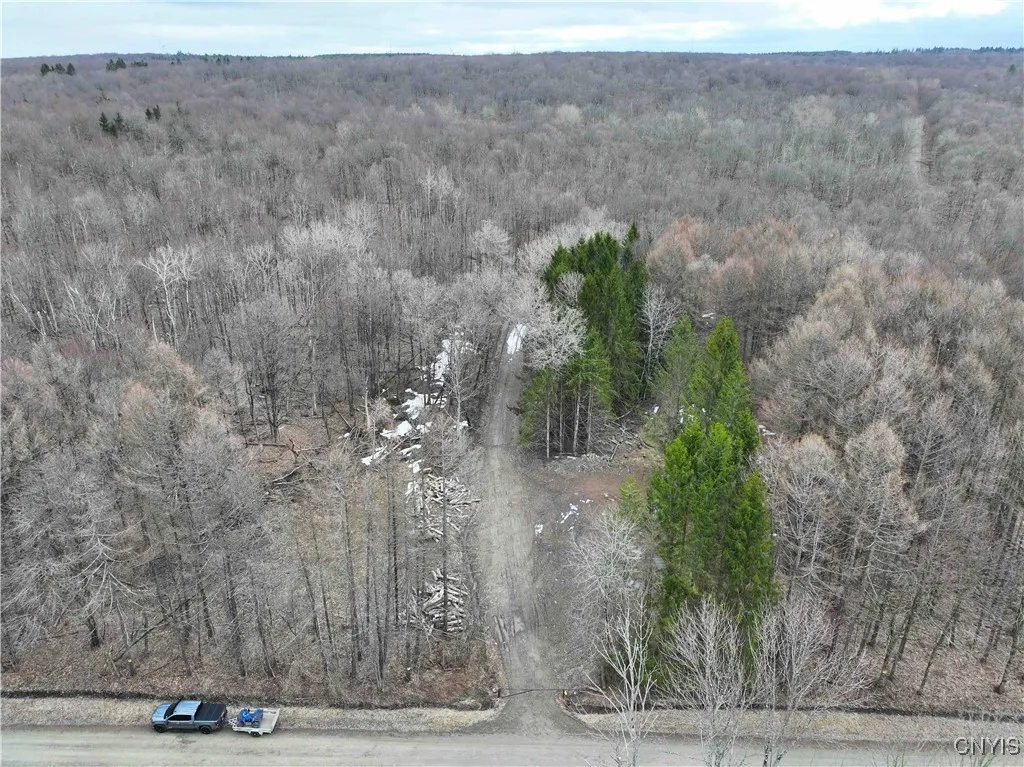 Swanson Road, Charlotte, New York 14723, Charlotte, New York 14723, ,Land,Closed,Swanson Road, Charlotte, New York 14723,0,S1595857