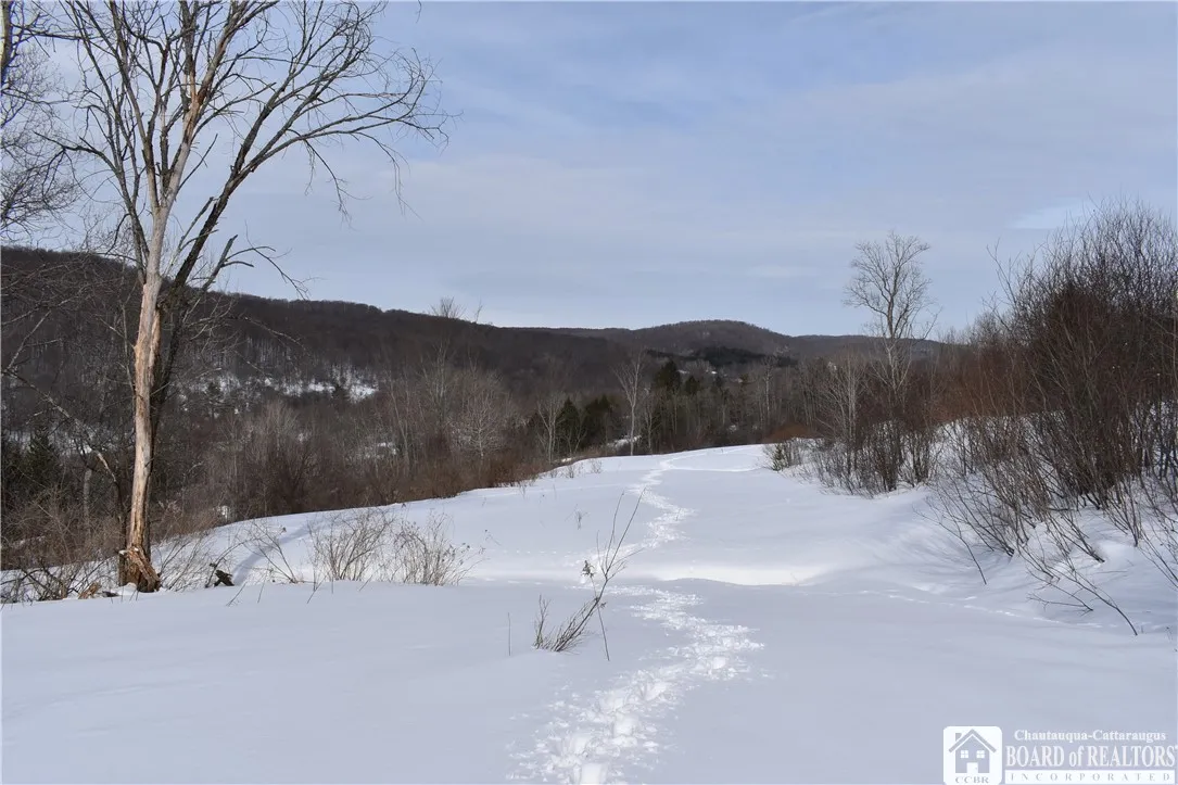 0 Morgan Hollow, Franklinville, New York 14737, Franklinville, New York 14737, ,Land,Closed,0 Morgan Hollow, Franklinville, New York 14737,R1596011