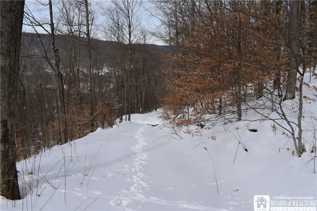 0 Morgan Hollow, Franklinville, New York 14737, Franklinville, New York 14737, ,Land,Closed,0 Morgan Hollow, Franklinville, New York 14737,R1596011