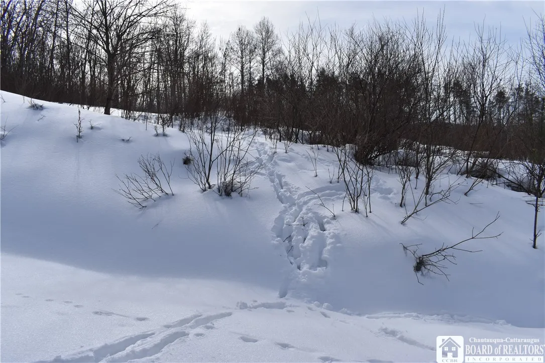 0 Morgan Hollow, Franklinville, New York 14737, Franklinville, New York 14737, ,Land,Closed,0 Morgan Hollow, Franklinville, New York 14737,R1596011