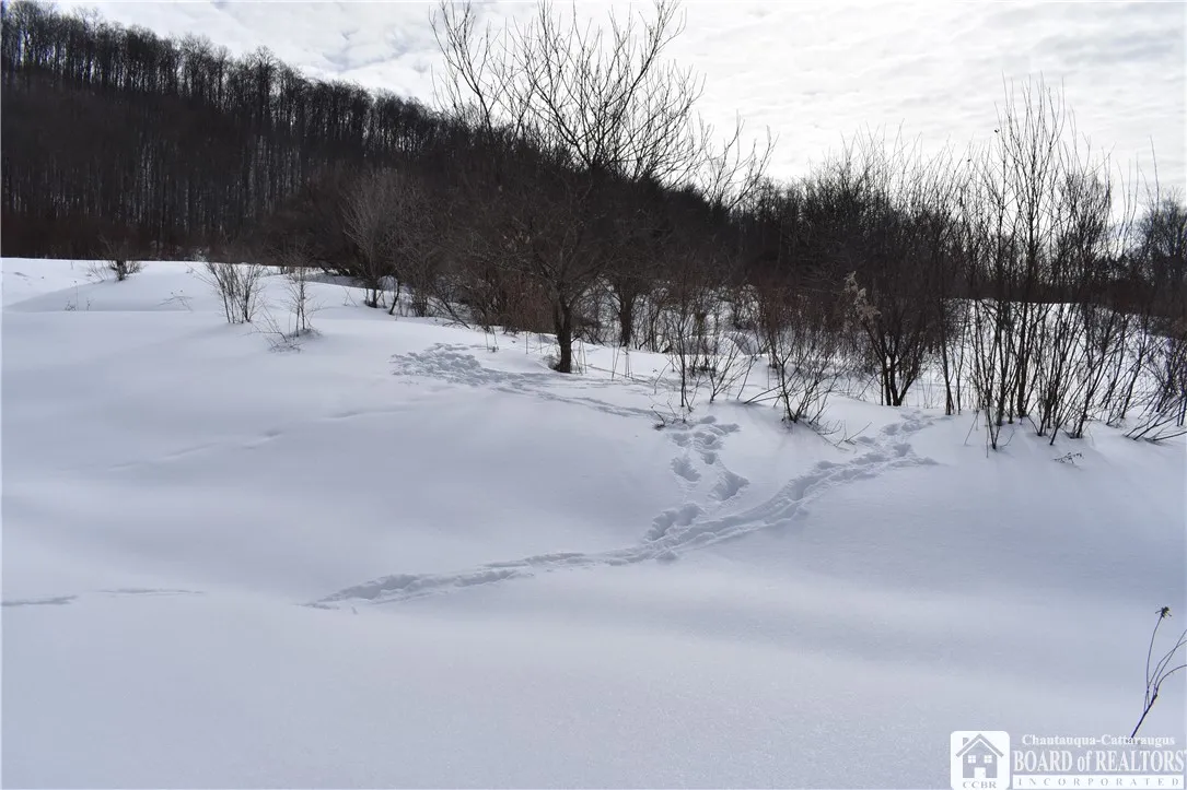 0 Morgan Hollow, Franklinville, New York 14737, Franklinville, New York 14737, ,Land,Closed,0 Morgan Hollow, Franklinville, New York 14737,R1596011