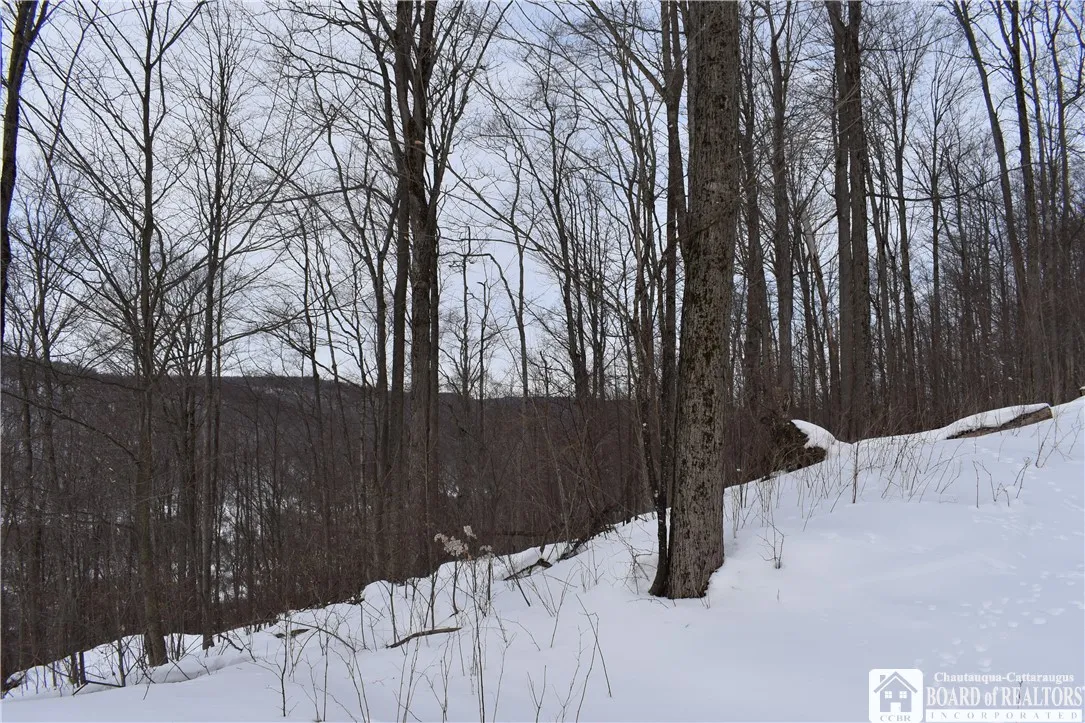 0 Morgan Hollow, Franklinville, New York 14737, Franklinville, New York 14737, ,Land,Closed,0 Morgan Hollow, Franklinville, New York 14737,R1596011