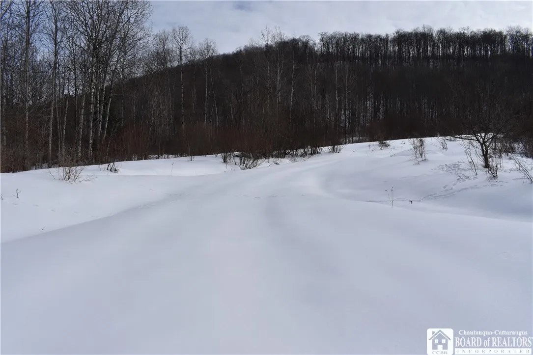 0 Morgan Hollow, Franklinville, New York 14737, Franklinville, New York 14737, ,Land,Closed,0 Morgan Hollow, Franklinville, New York 14737,R1596011