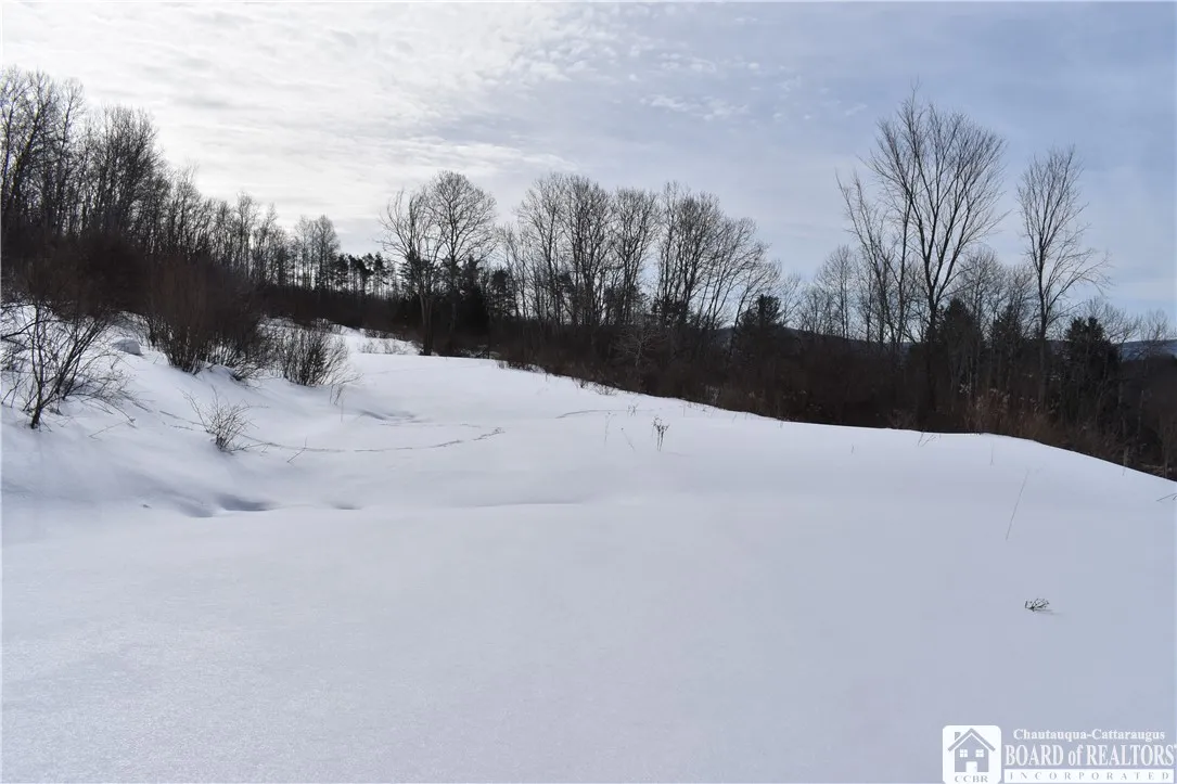 0 Morgan Hollow, Franklinville, New York 14737, Franklinville, New York 14737, ,Land,Closed,0 Morgan Hollow, Franklinville, New York 14737,R1596011