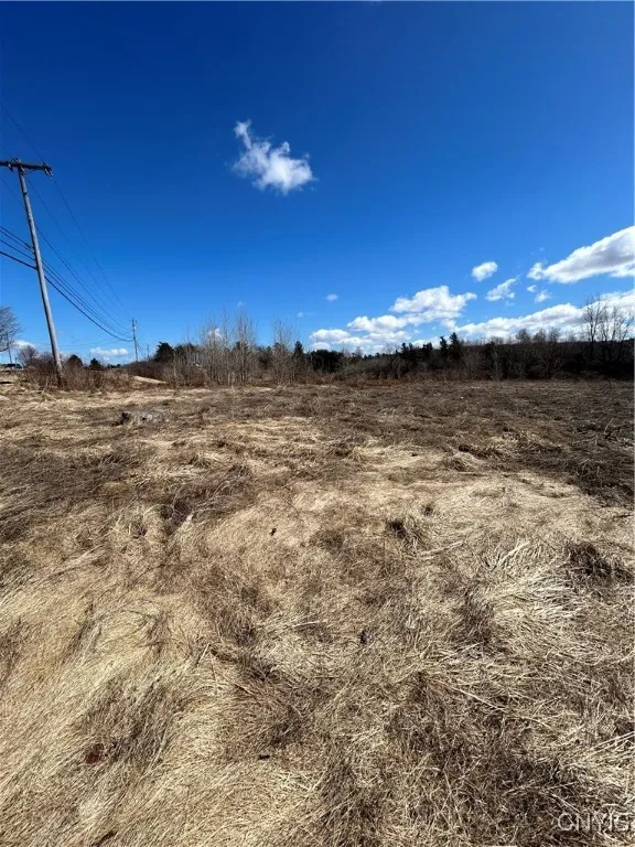 Us-11, Le Ray, New York 13616, Le Ray, New York 13616, ,Land,For Sale,Us-11, Le Ray, New York 13616,0,S1594956