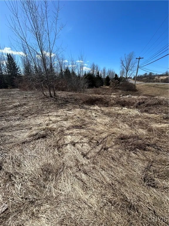 Us-11, Le Ray, New York 13616, Le Ray, New York 13616, ,Land,For Sale,Us-11, Le Ray, New York 13616,0,S1594956