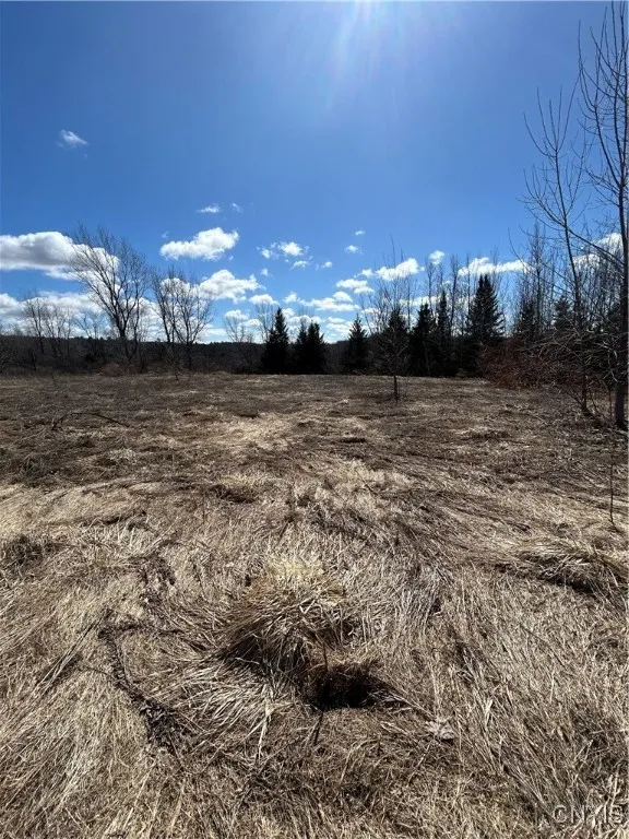 Us-11, Le Ray, New York 13616, Le Ray, New York 13616, ,Land,For Sale,Us-11, Le Ray, New York 13616,0,S1594956