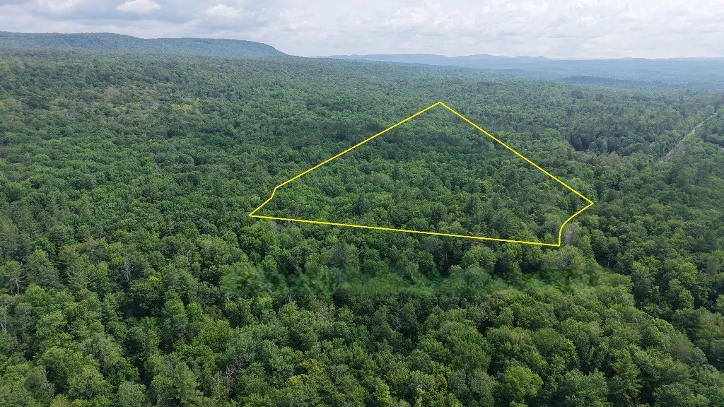 12 Shaad, Salisbury, New York 13454, Salisbury, New York 13454, ,Land,For Sale,12 Shaad, Salisbury, New York 13454,R1596080