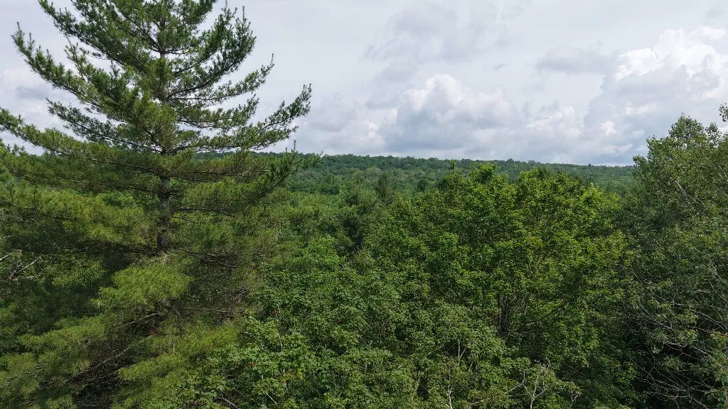 12 Shaad, Salisbury, New York 13454, Salisbury, New York 13454, ,Land,For Sale,12 Shaad, Salisbury, New York 13454,R1596080