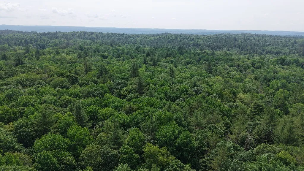 12 Shaad, Salisbury, New York 13454, Salisbury, New York 13454, ,Land,For Sale,12 Shaad, Salisbury, New York 13454,R1596080