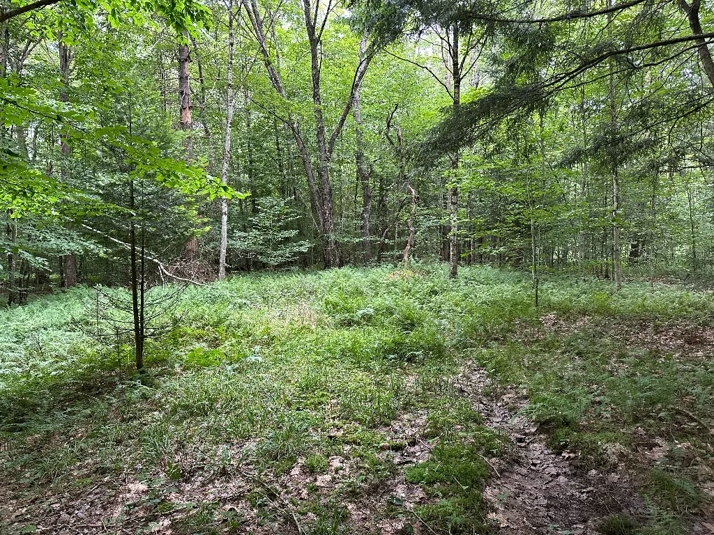 12 Shaad, Salisbury, New York 13454, Salisbury, New York 13454, ,Land,For Sale,12 Shaad, Salisbury, New York 13454,R1596080