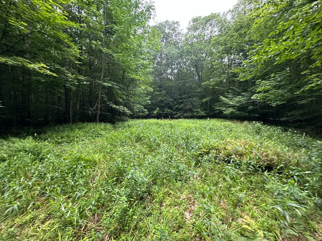 12 Shaad, Salisbury, New York 13454, Salisbury, New York 13454, ,Land,For Sale,12 Shaad, Salisbury, New York 13454,R1596080