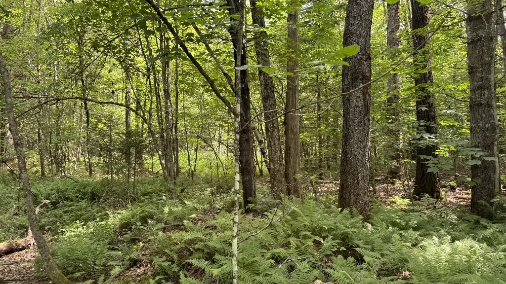 12 Shaad, Salisbury, New York 13454, Salisbury, New York 13454, ,Land,For Sale,12 Shaad, Salisbury, New York 13454,R1596080