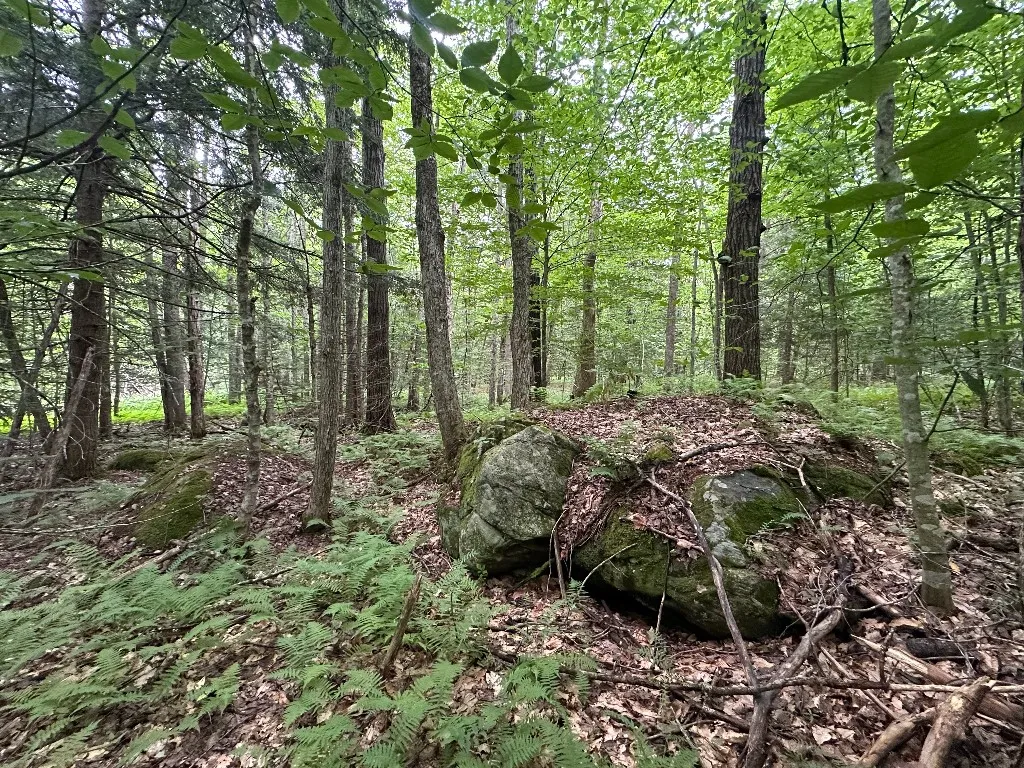 12 Shaad, Salisbury, New York 13454, Salisbury, New York 13454, ,Land,For Sale,12 Shaad, Salisbury, New York 13454,R1596080
