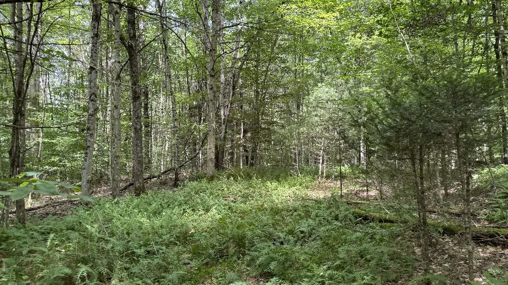 12 Shaad, Salisbury, New York 13454, Salisbury, New York 13454, ,Land,For Sale,12 Shaad, Salisbury, New York 13454,R1596080