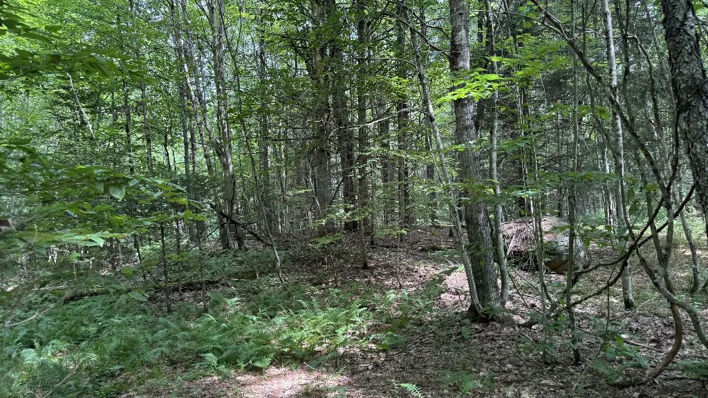 12 Shaad, Salisbury, New York 13454, Salisbury, New York 13454, ,Land,For Sale,12 Shaad, Salisbury, New York 13454,R1596080