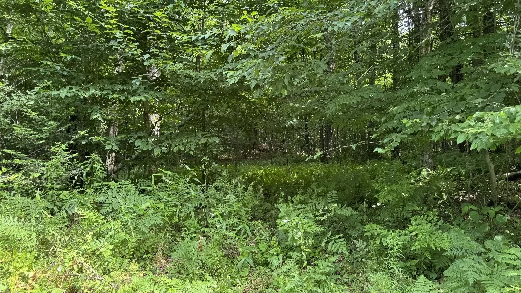 12 Shaad, Salisbury, New York 13454, Salisbury, New York 13454, ,Land,For Sale,12 Shaad, Salisbury, New York 13454,R1596080