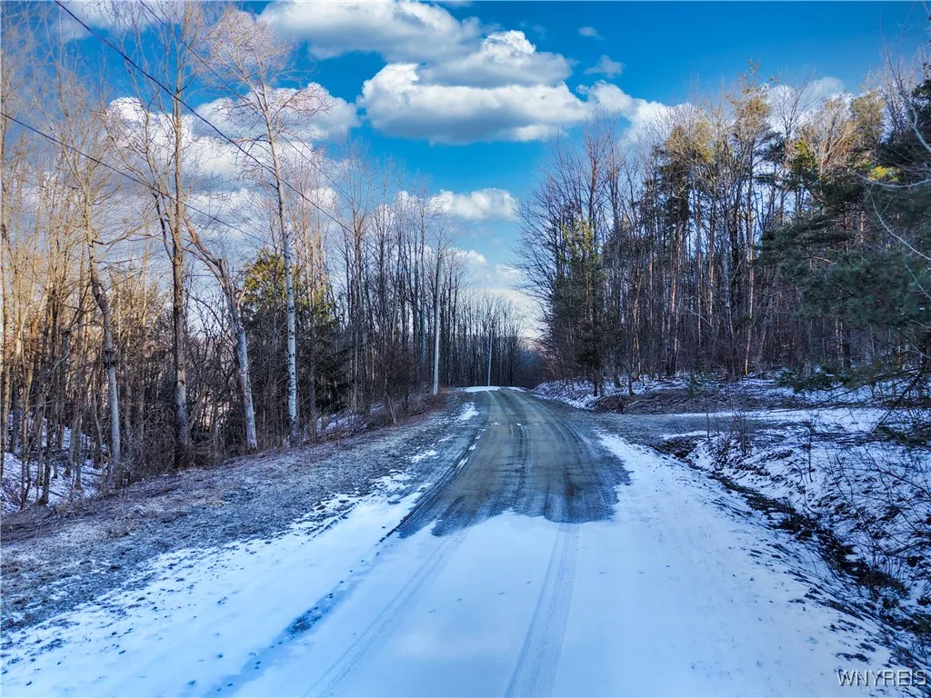 10 & 11 Creek Ridge Road, Ellicottville, New Y, Ellicottville, New York 14731, ,Land,For Sale,10 & 11 Creek Ridge Road, Ellicottville, New Y,0,B1594395