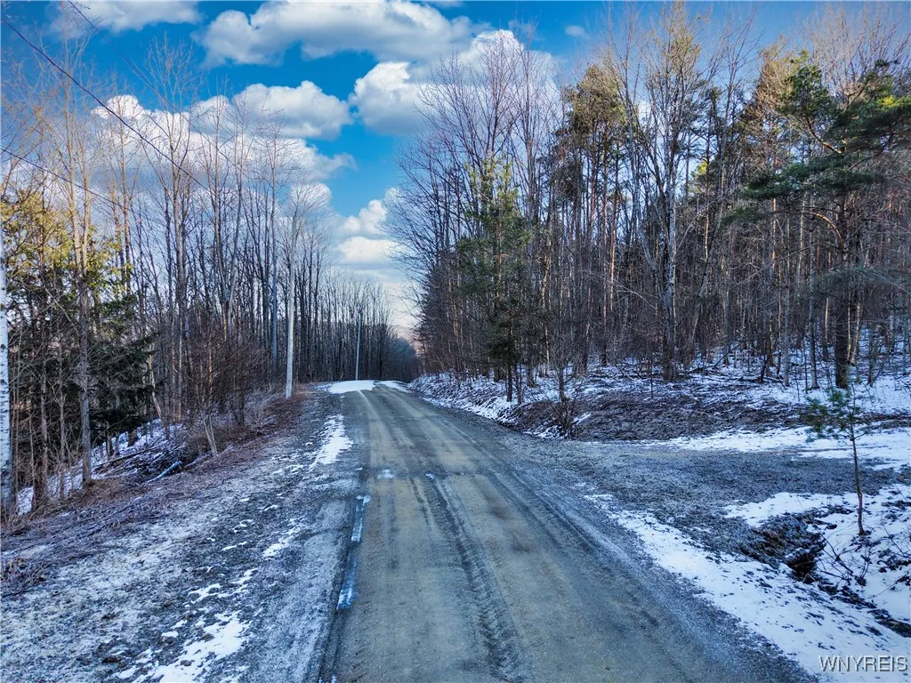 10 & 11 Creek Ridge Road, Ellicottville, New Y, Ellicottville, New York 14731, ,Land,For Sale,10 & 11 Creek Ridge Road, Ellicottville, New Y,0,B1594395