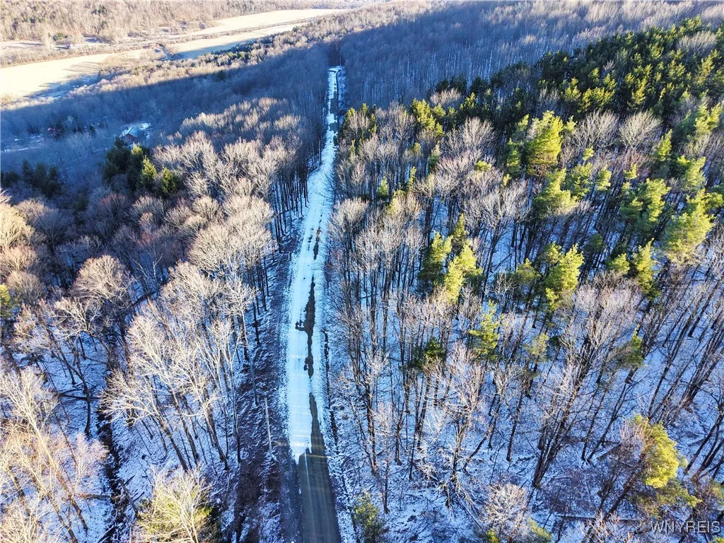 10 & 11 Creek Ridge Road, Ellicottville, New Y, Ellicottville, New York 14731, ,Land,For Sale,10 & 11 Creek Ridge Road, Ellicottville, New Y,0,B1594395