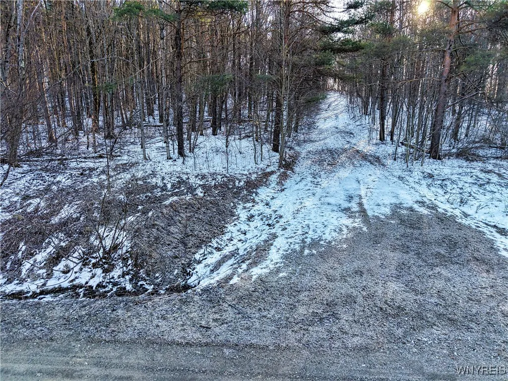 10 & 11 Creek Ridge Road, Ellicottville, New Y, Ellicottville, New York 14731, ,Land,For Sale,10 & 11 Creek Ridge Road, Ellicottville, New Y,0,B1594395